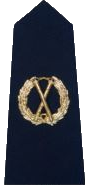 Assistant Commissioner Badge