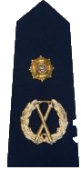 Deputy Commissioner Badge